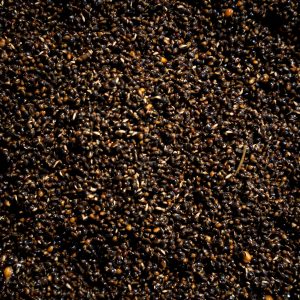 Gotowana konopia 8kg